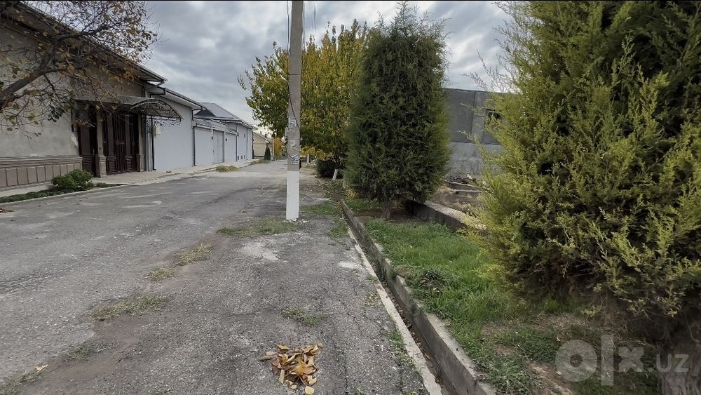 Dormon Archa kocha