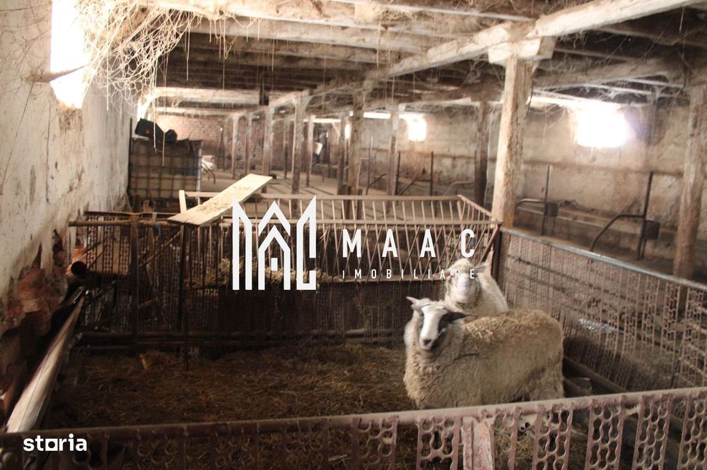 Oportunitate de Aur la Intrarea în Vurpar