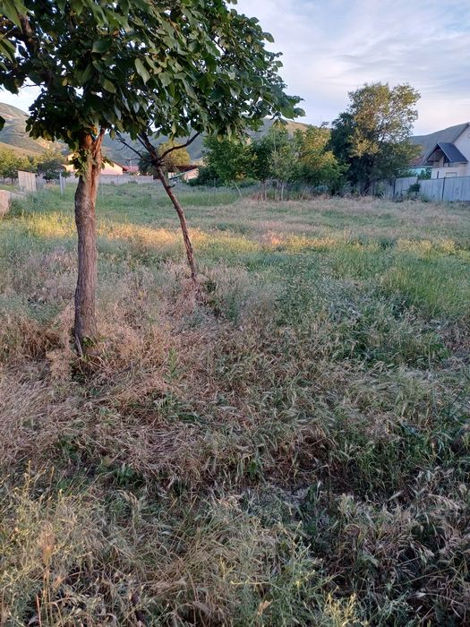 продам участки по  8соток ижс делимый