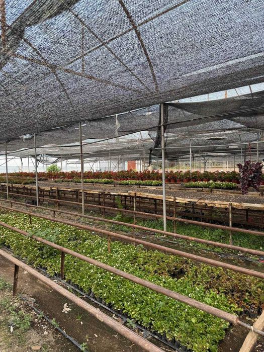 Иссикхона сотилади