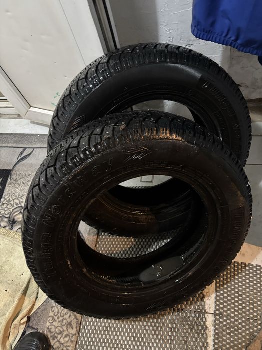 Шины шипованные