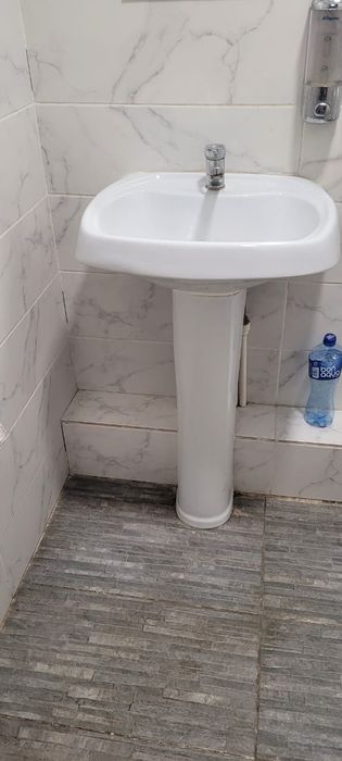 тюльпан в хорошем состоянии