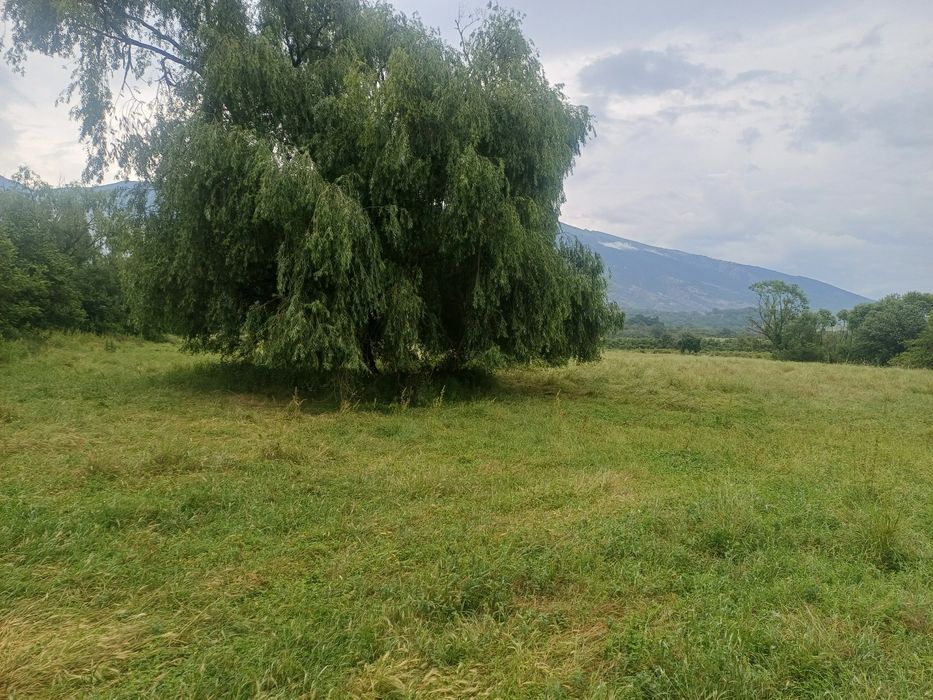 Здравейте продавам парцел в гр.Карлово .