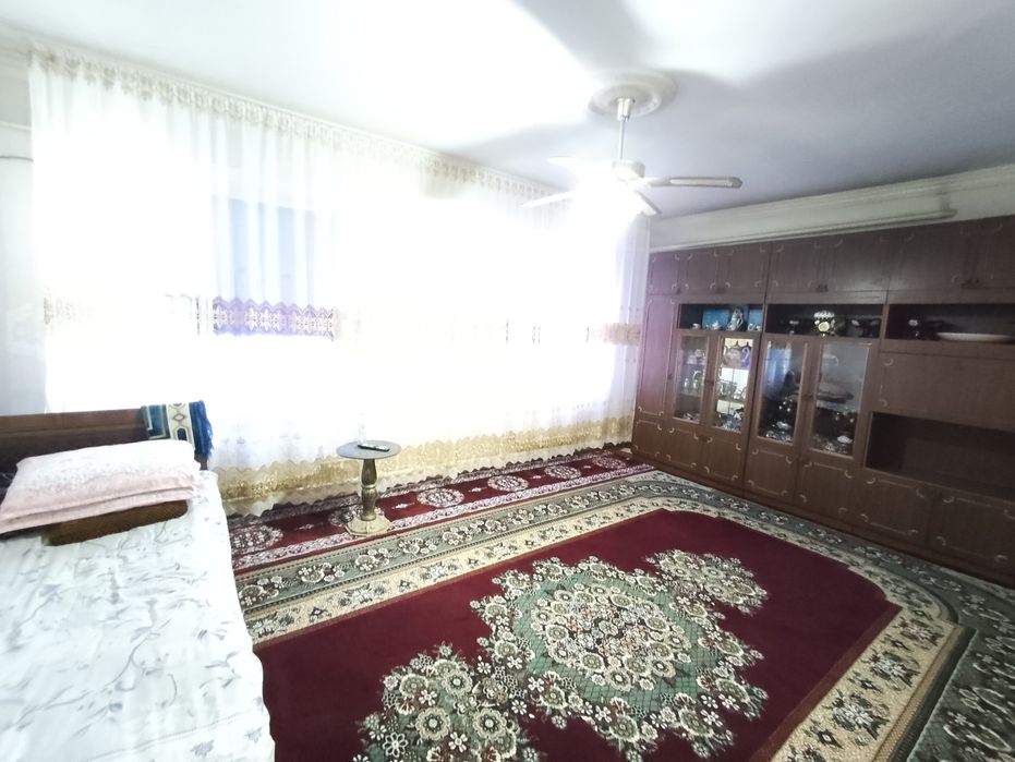 Zamonaviy kotej sotiladi