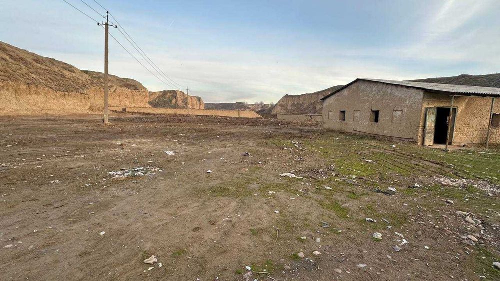 Ферма 80 сўтих. Манзил Тошкент вилояти, Пискент тумани.