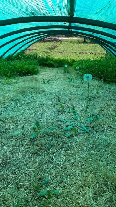 Продам готовый каркас для навеса