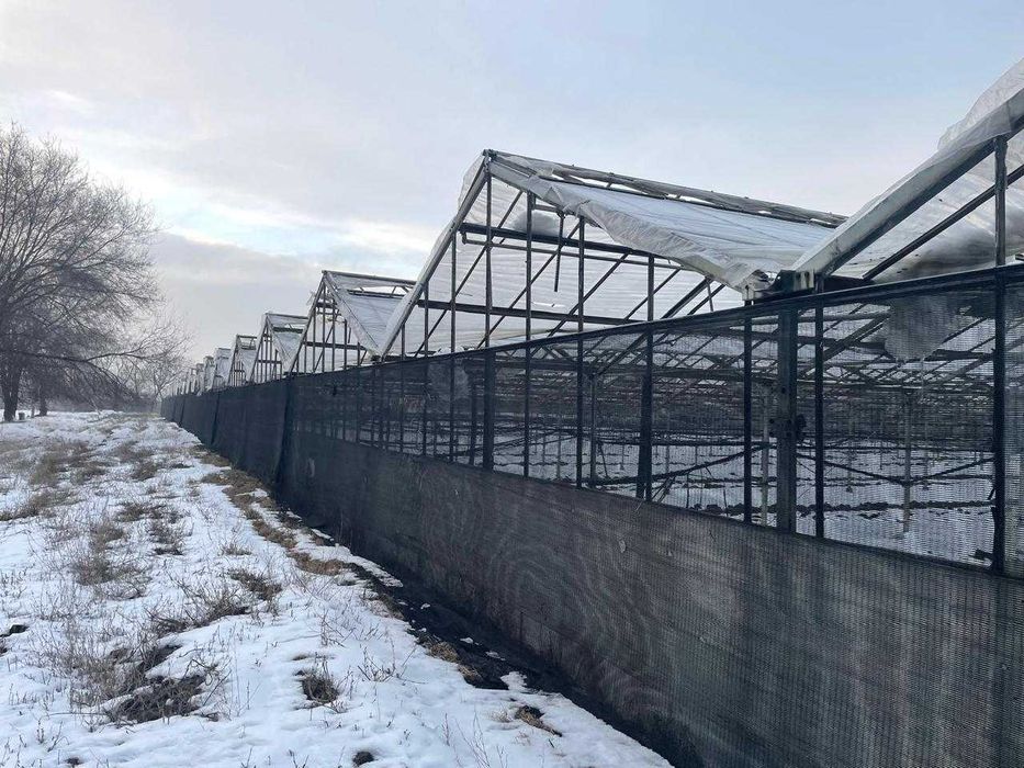 Теплица оцинкованная