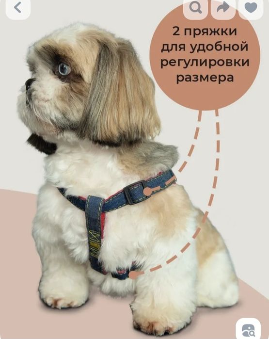 Продам шлейку с поводком