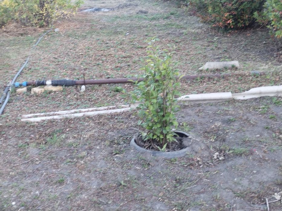 Продам дачу , продам дачу.