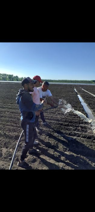 FORAJE PUȚURI Fundulea,Gostilele, Măriuța , Dârvari, Plumbuita