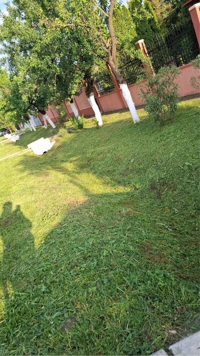 Amenajari si intretinere Spati Verzi