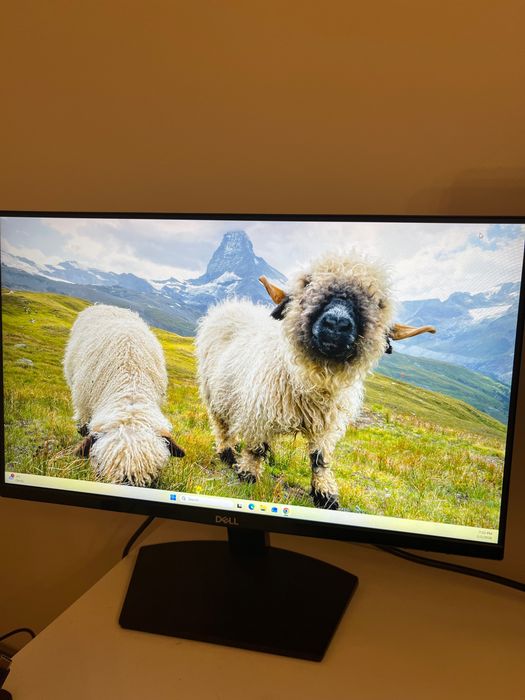 Monitor pc 21,5 inch dell se SE2219H