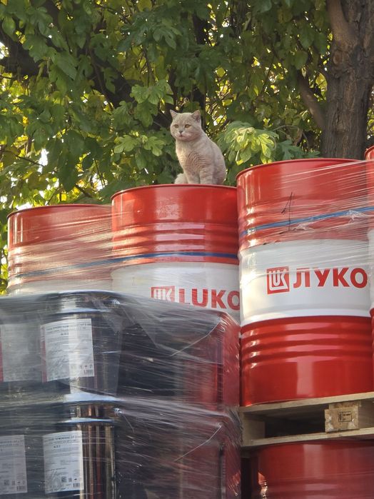 Редукторное масло Лукойл Стило 320