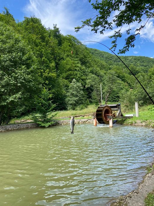Cabana cu piscine și ciubăr Maramureș