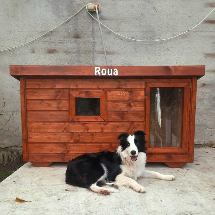 Edocusca -cusca caine, izolata si incalzita-accesorii caini-producator