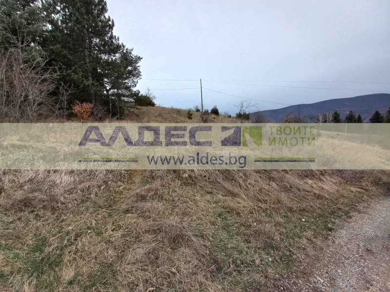 Поземлен имот до регулация в с. Кокаляне