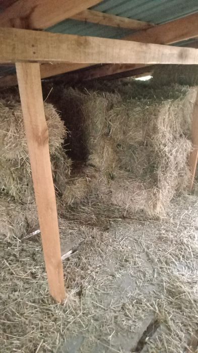 Продам сено разнотравье