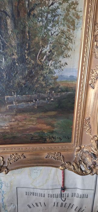 Tablou vechi pictura pana cu rama