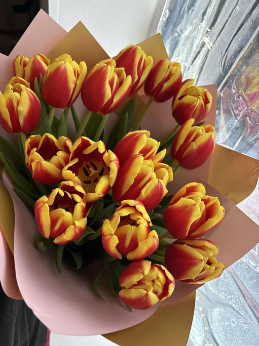 тюлпанннннннннннн