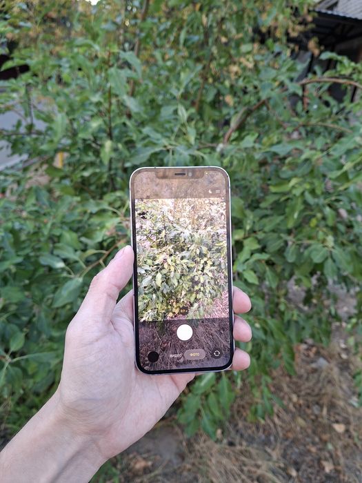 Iphone 12 продам