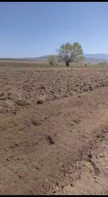 Услуги трактора почвофреза доминатор плуг