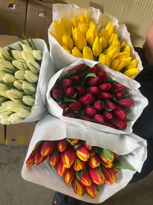 Тюльпаны!!! доставка БЕСПЛАТНАЯ!!!