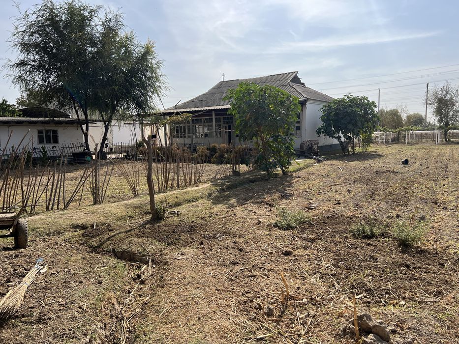 Manzil: Sirdaryo viloyat Sayxunobod tumani vodiy bitonka