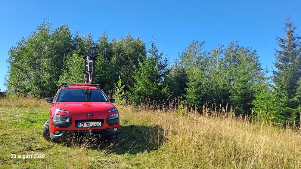 Citroën C4 Cactus 2018 iunie-prima inmatriculare de noua