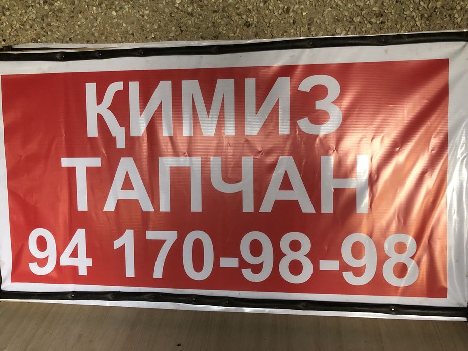 Отдых за городом Твпчан Лошади чистая природа Коний молочко Кимиз !!!