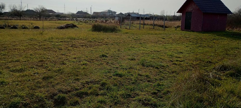 Teren 20 ari cu gradina și cabana extravilan langa centura Satu Mare.