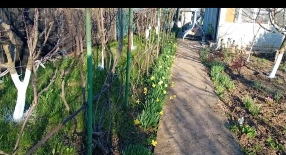 Casa 90 mp si teren 2000 mp Cotorca judet Ialomita iesire la DN2