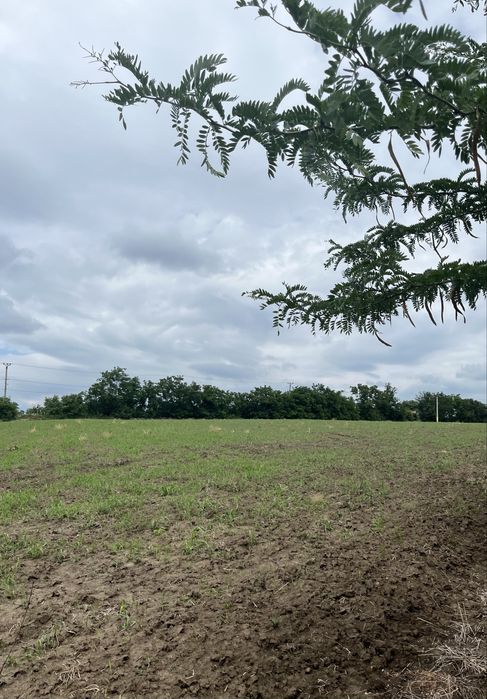 Teren intravilan de vanzare