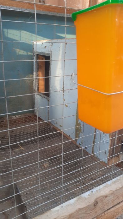 Куен клетка сотилади срочно.