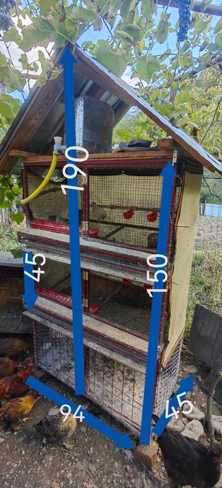 Rastel custi prepelite