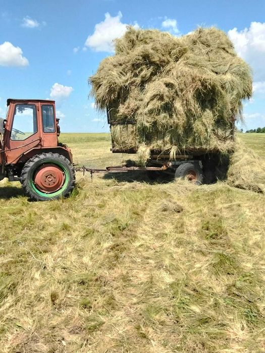 продам трактор т16
