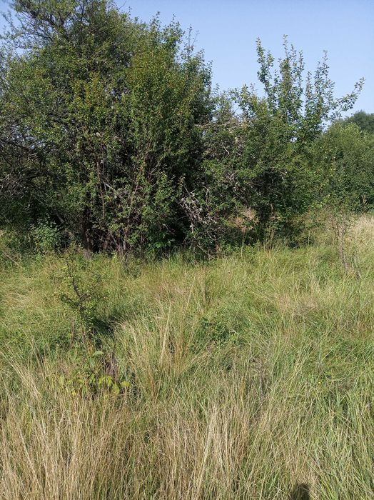 Продава се Парцел в с. Ялботина, Област София-област - 1000 кв.м за 15 €/кв.м - Снимка #1