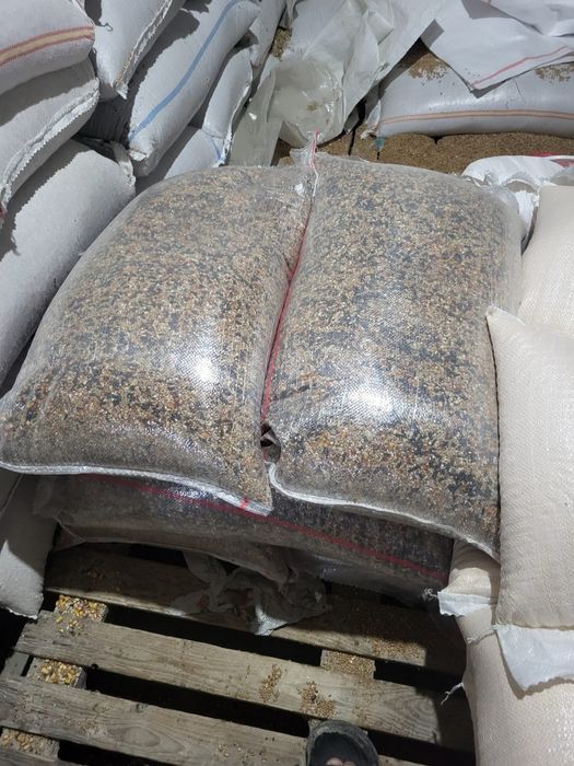 Vind amestec pentru porumbei