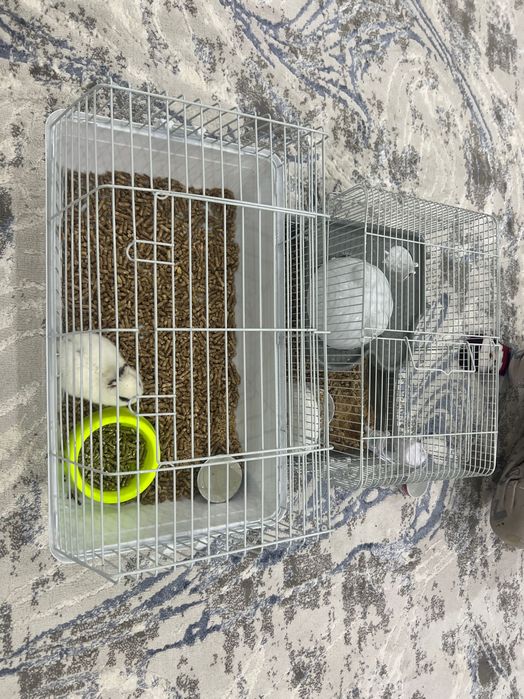 Клетка для хомяка