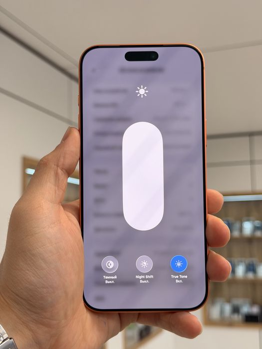 iPhone 17 Pro Max | 256 GB