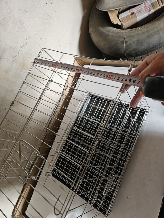 Голуби в удобстве