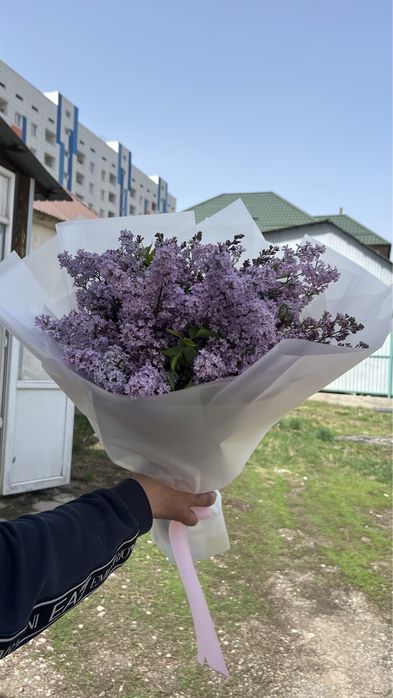 Букет сирении, и оптом все сорта есть