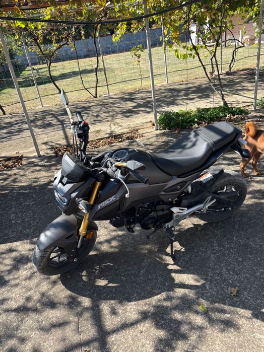 Honda msx 125.