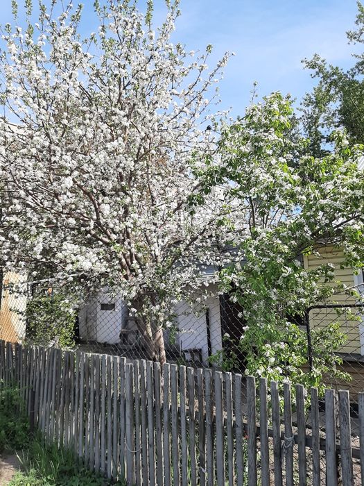 Продам часть дома в ЦЕНТРЕ