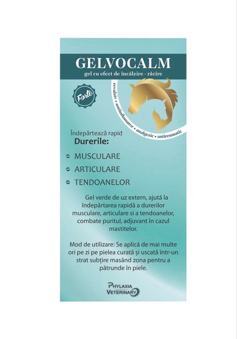 Gel•antiinflamator•antireumatic•GELVOCALM (Cum sa ameliorezi durerile)
