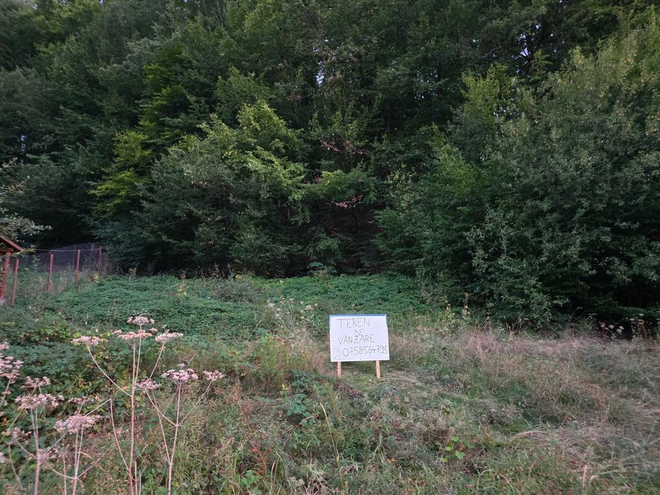 Teren Intravilan cu Utilități la Strada și Pădure în Spate – Pădurea Neagră, Bihor