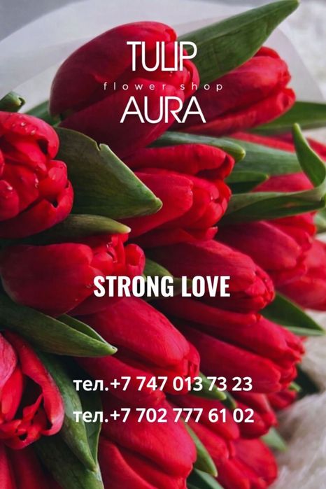 Тюльпаны высшего сорта оформление бесплатно