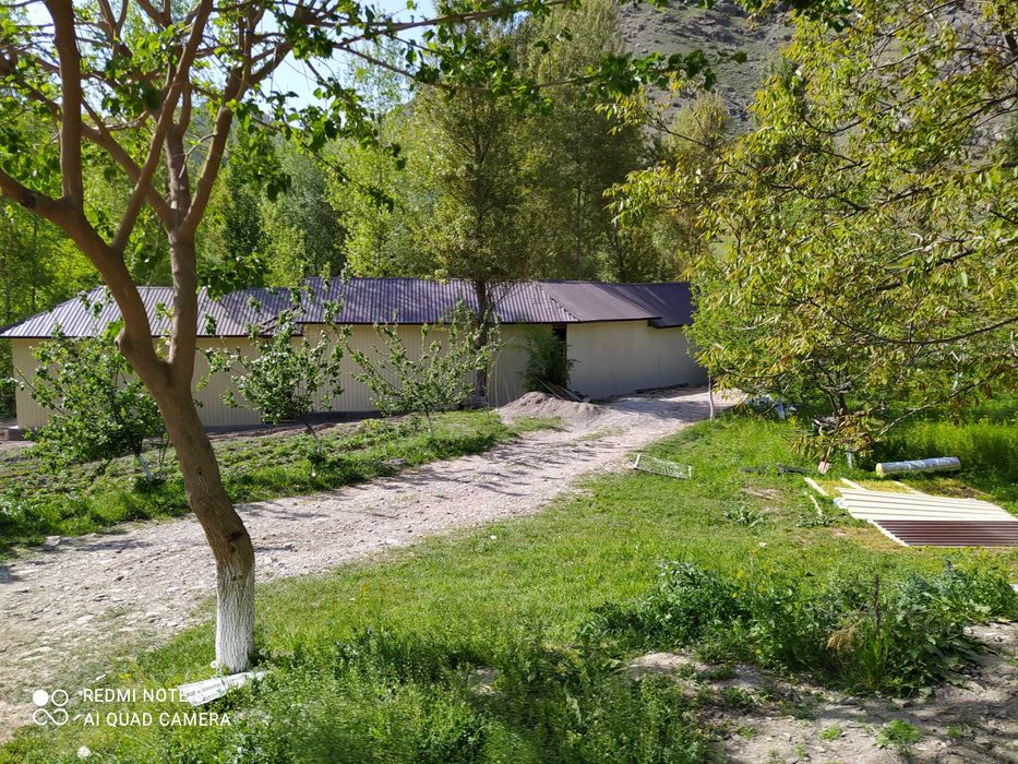 Dala hovli bor sotiladi