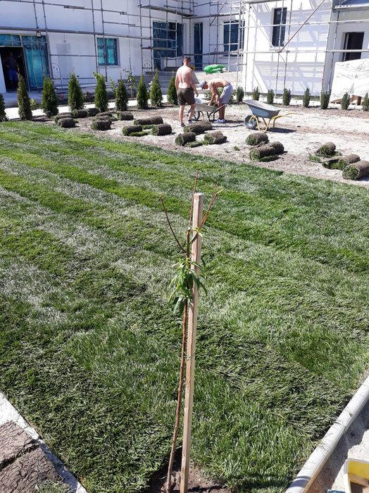 Gazon rulou si instalații de irigat