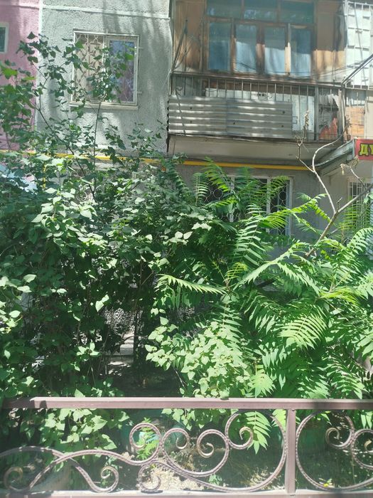 Квартира квпртира