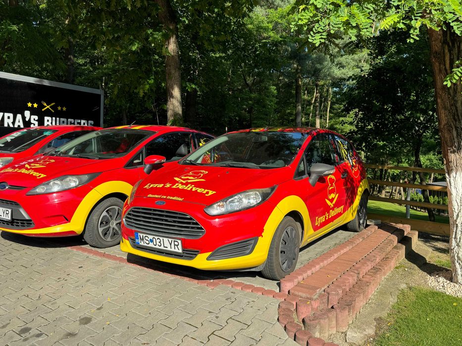 Flotă Auto Livrare de Vânzare – Ford Fiesta